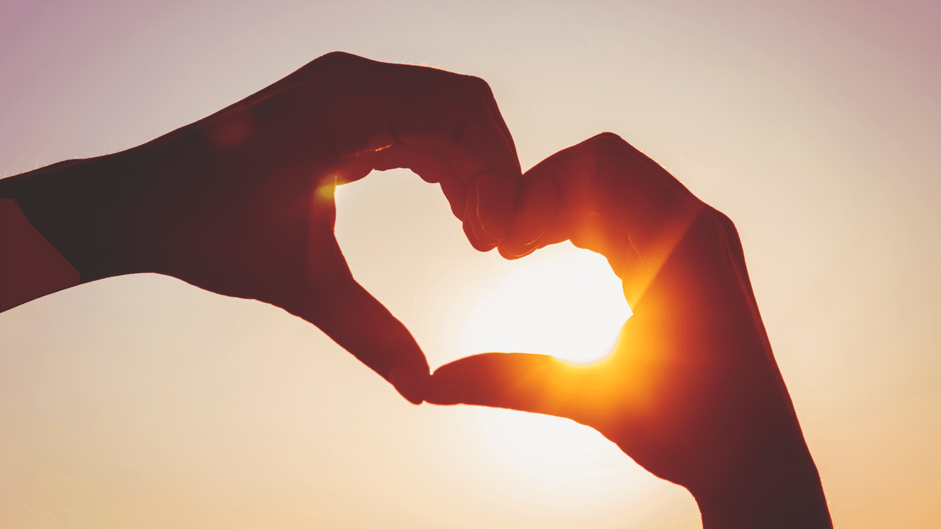 MLC Intermediate Package